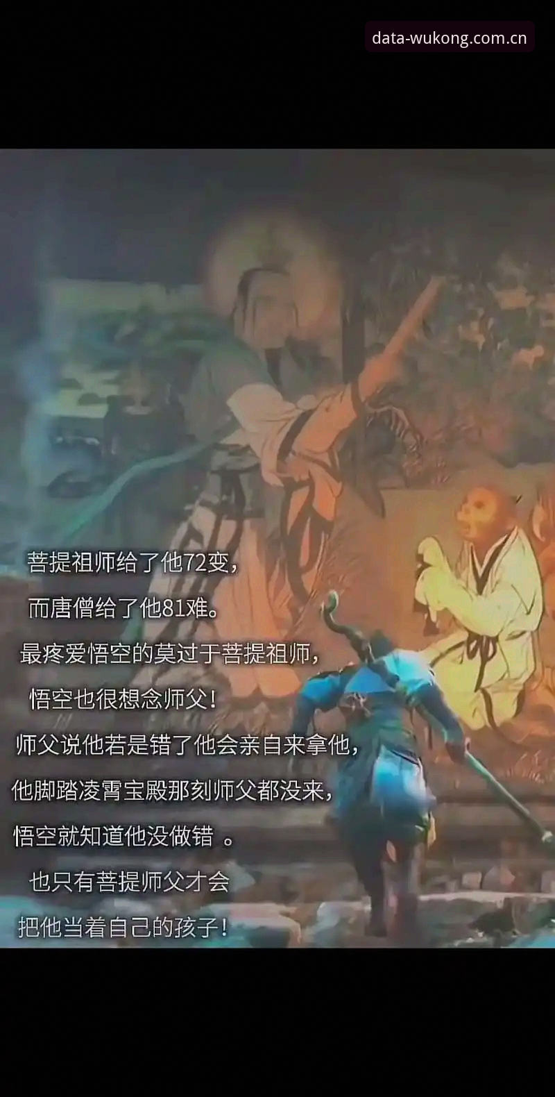揭秘悟空体育平台下载全流程：新手第一次上手前要知道的真相